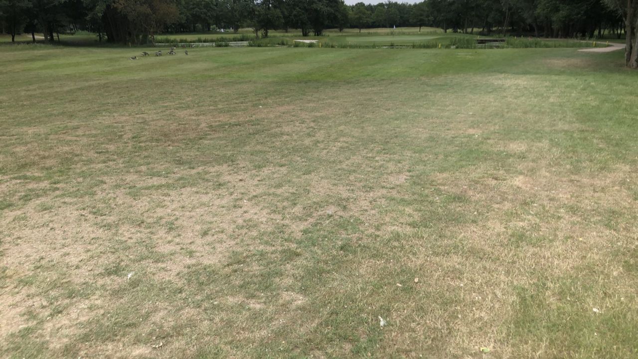 Golfanlage Hummelbachaue