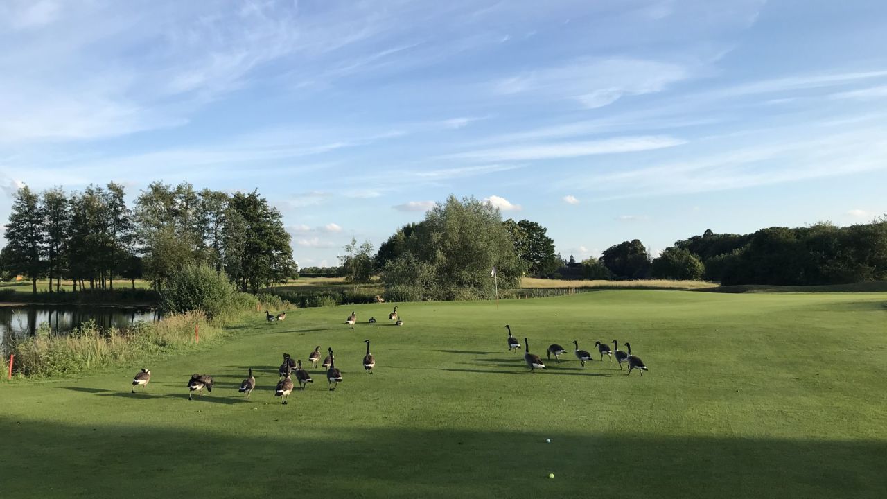 Golfpark Rittergut Birkhof