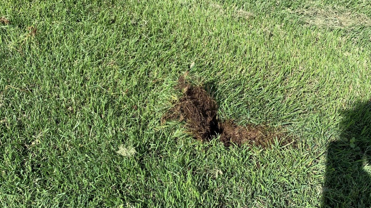 Münchner Golf Eschenried – Golfplatz Eschenhof