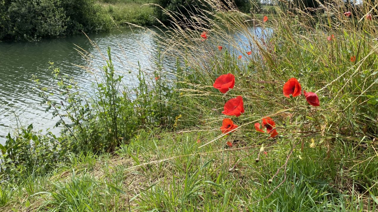 Exclusiv'golf NGF de Cherisey