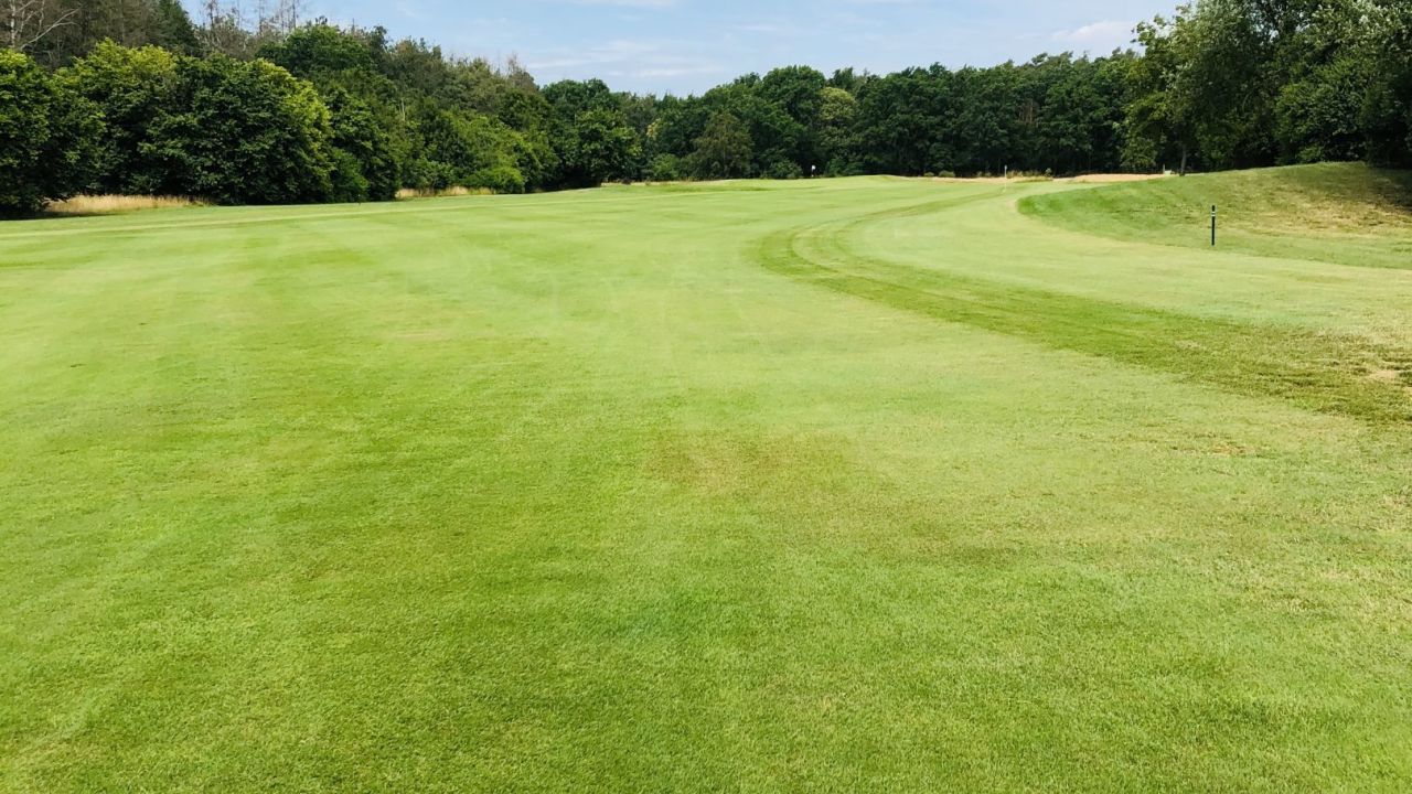 1. GC Leipzig Dübener Heide