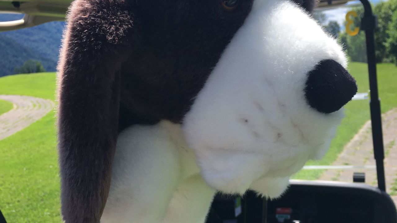 GC Reit im Winkl Kössen