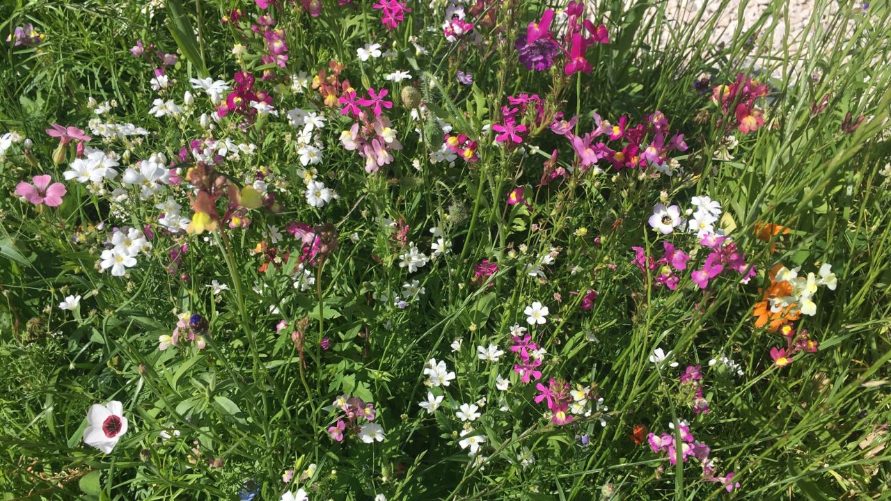 Kaiserwinkl Golf Kössen