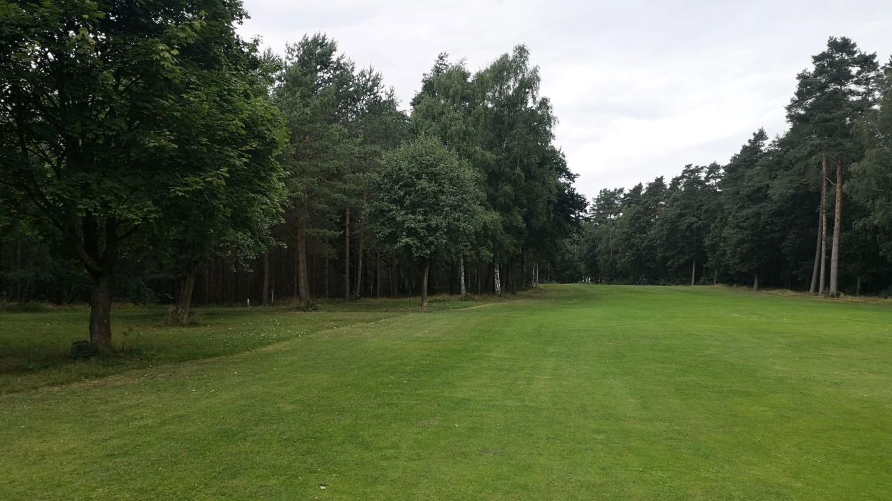 GC Herzogstadt Celle