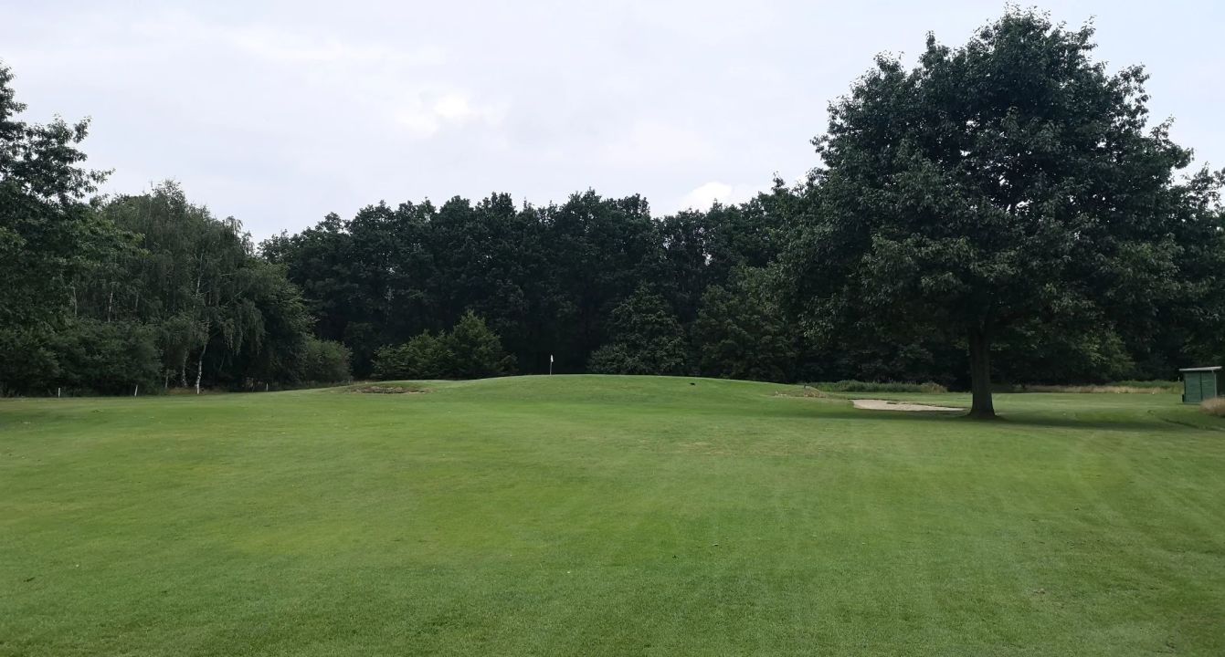 GC Herzogstadt Celle