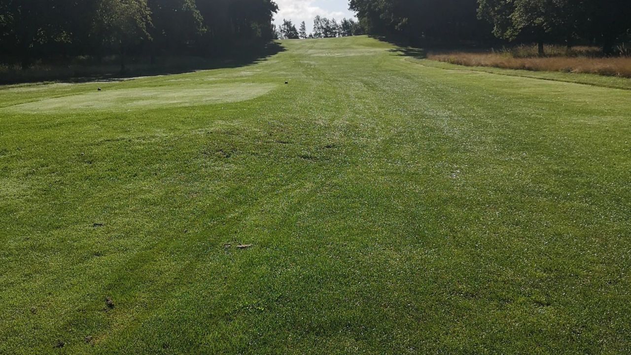 GC Herzogstadt Celle