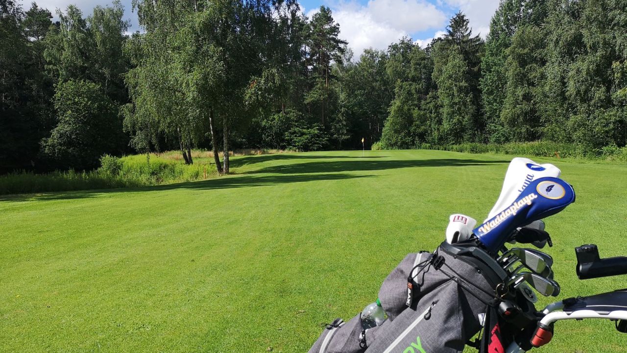 GC Herzogstadt Celle