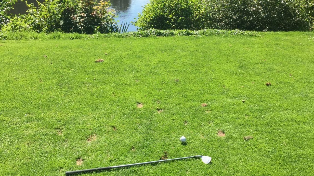 GC Weserbergland e.V.