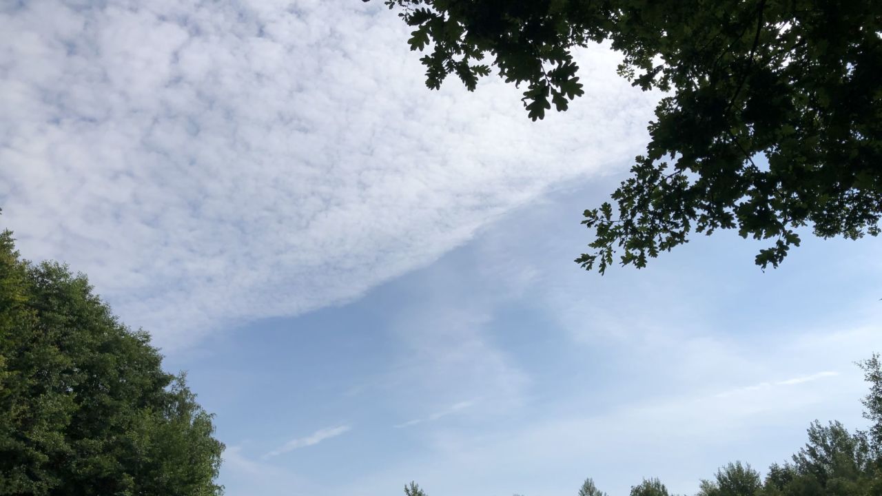 1. Bremer Cross Golf Club n.e.V.