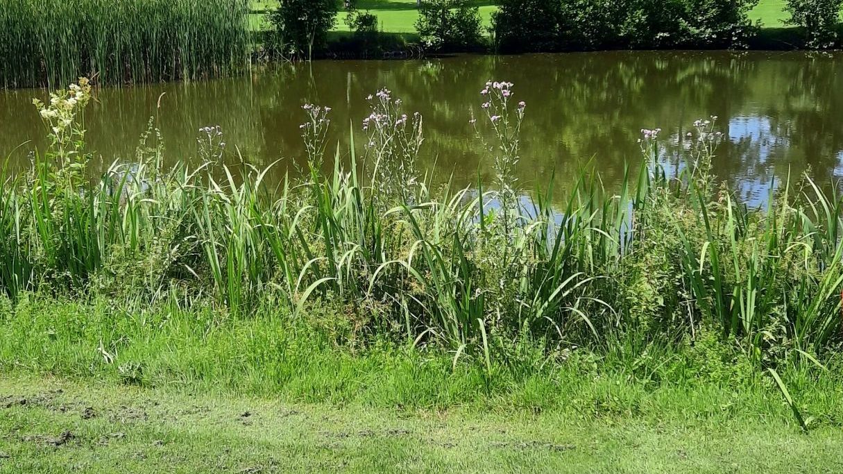 Fürstliches Golf-Resort Bad Waldsee