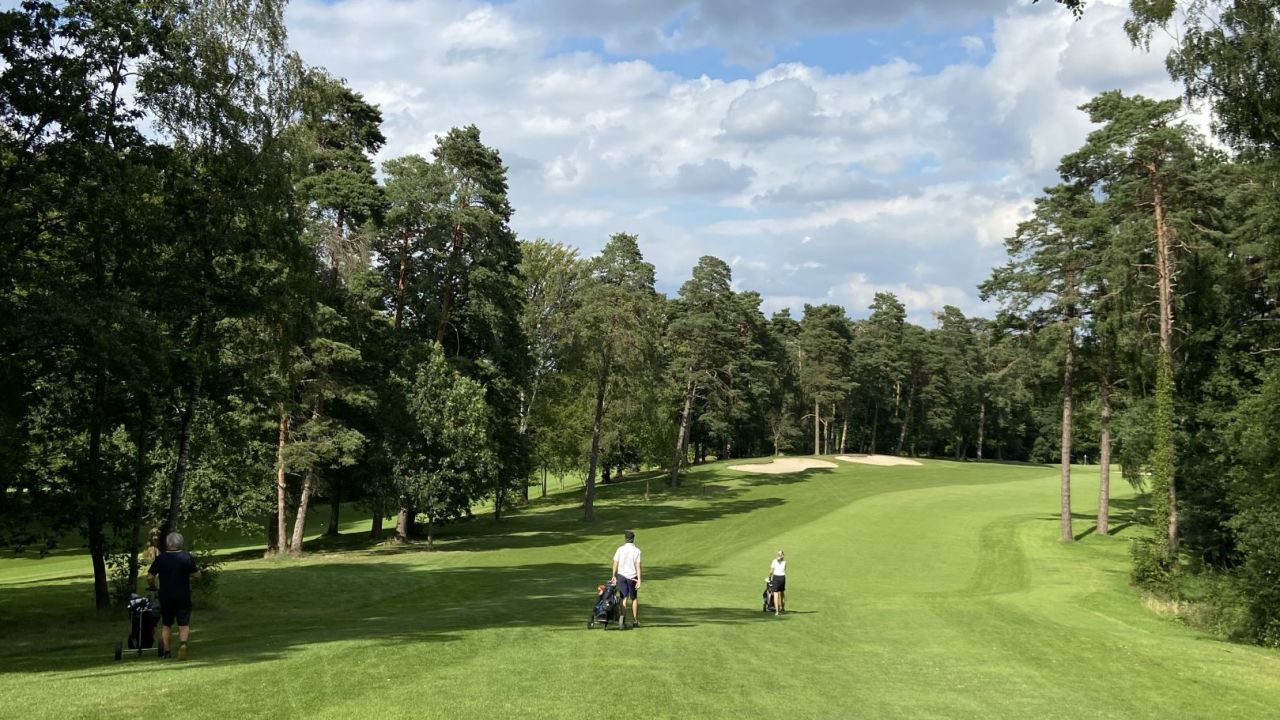 Hamburger LGC Hittfeld