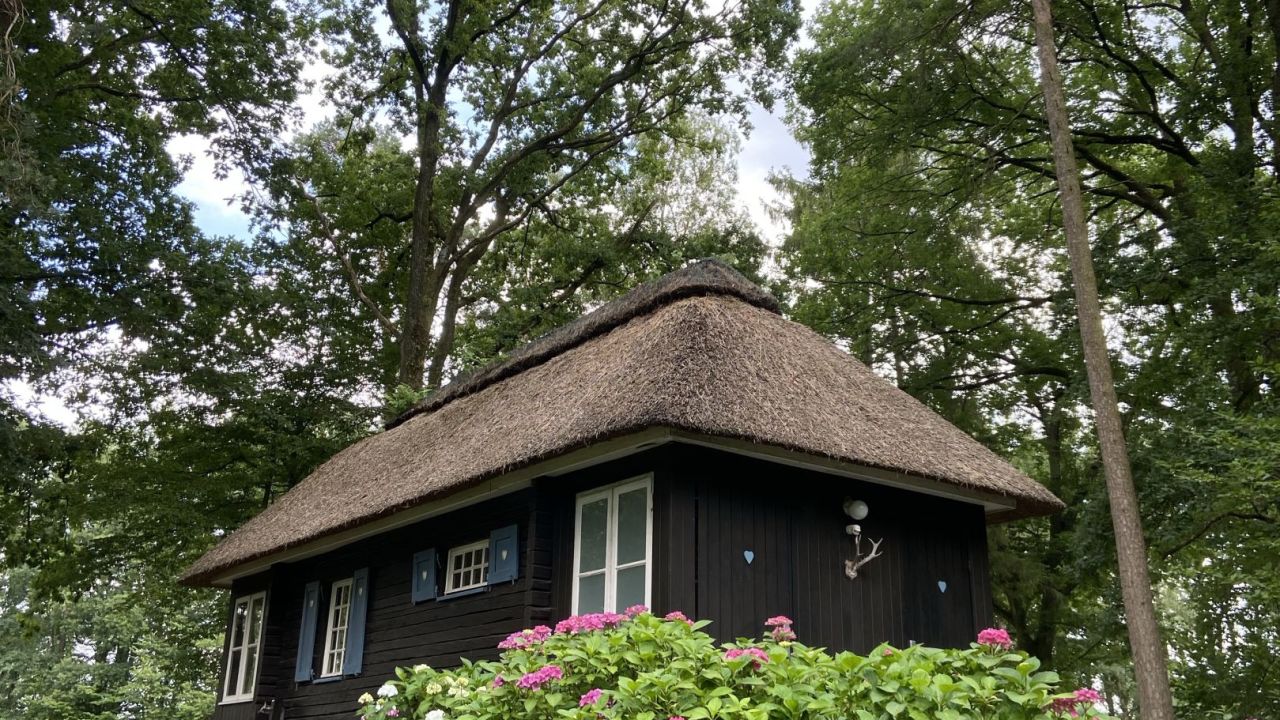 Hamburger LGC Hittfeld