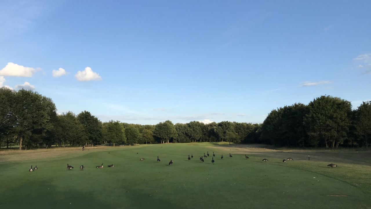 Golfanlage Hummelbachaue