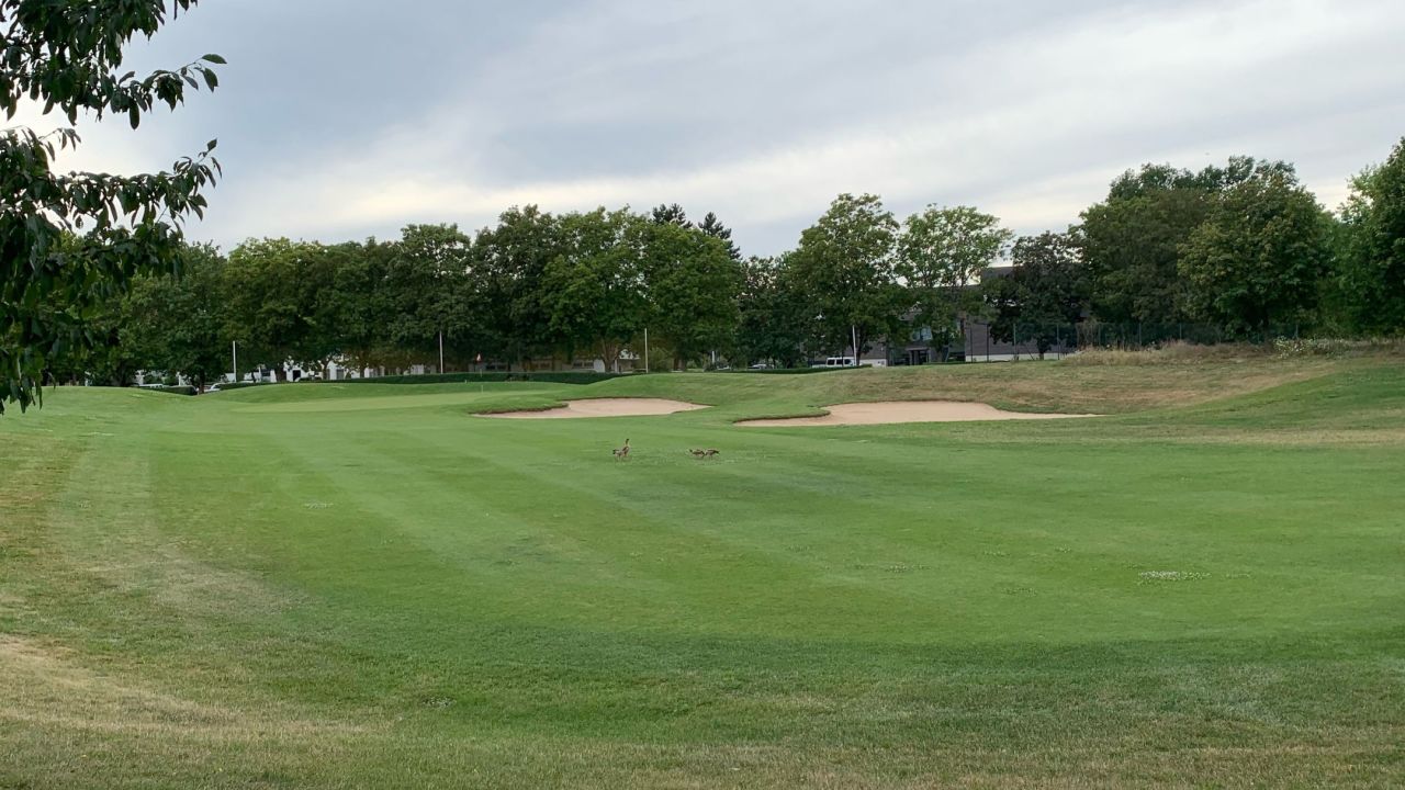 GC Mannheim Viernheim