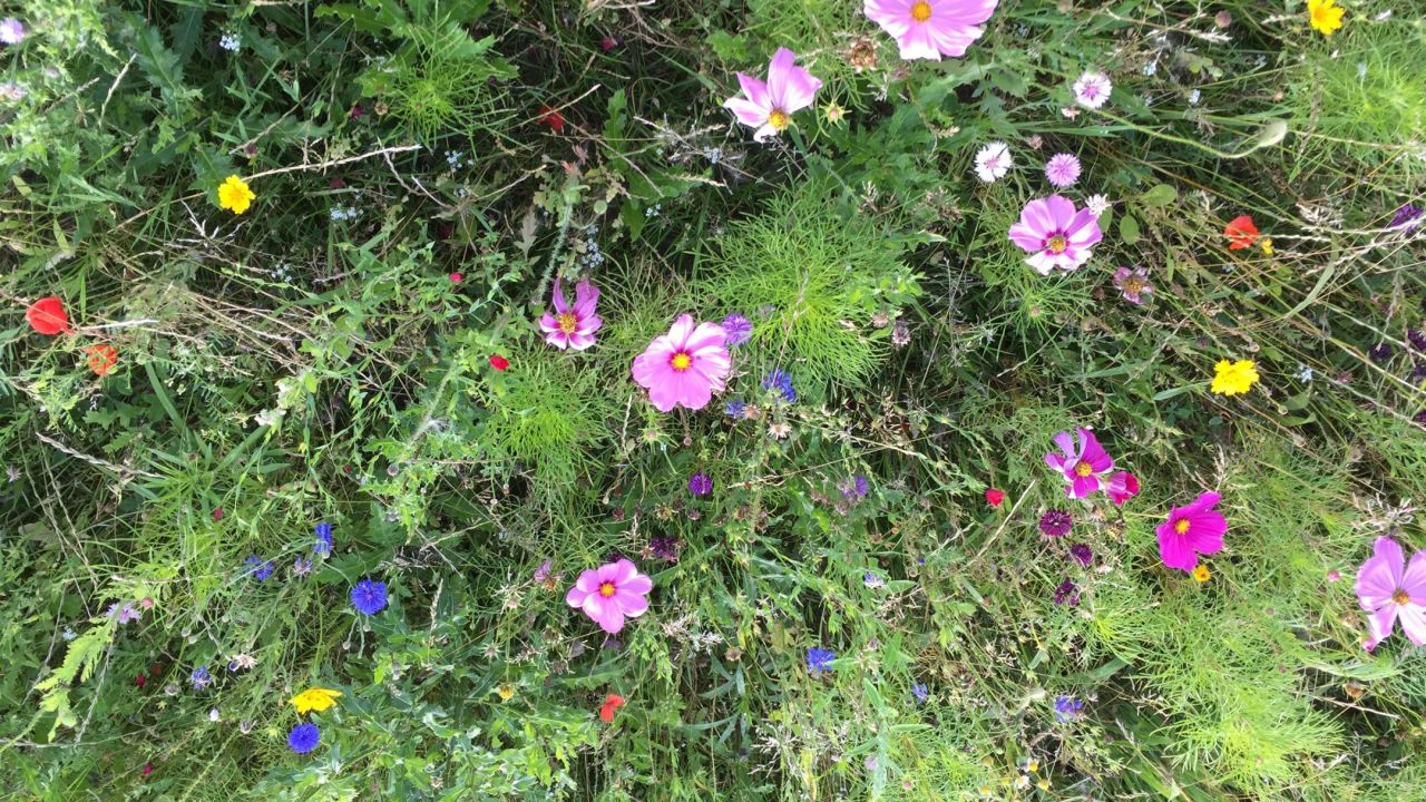 Märkischer Golf Club Potsdam