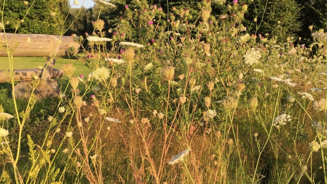 Märkischer Golf Club Potsdam