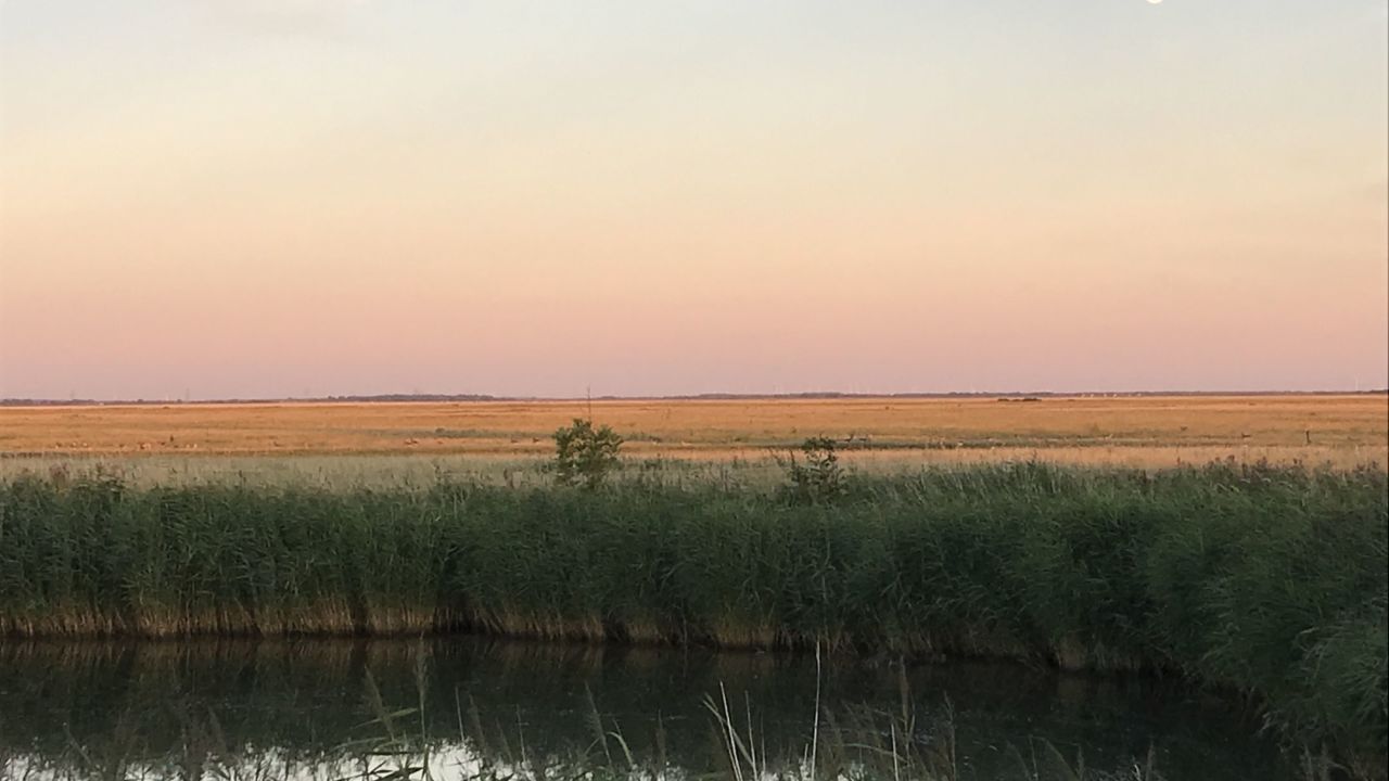 GC Büsum Dithmarschen