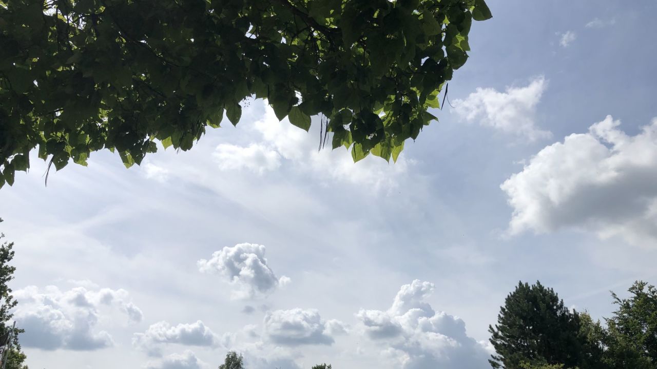 GC Thülsfelder Talsperre