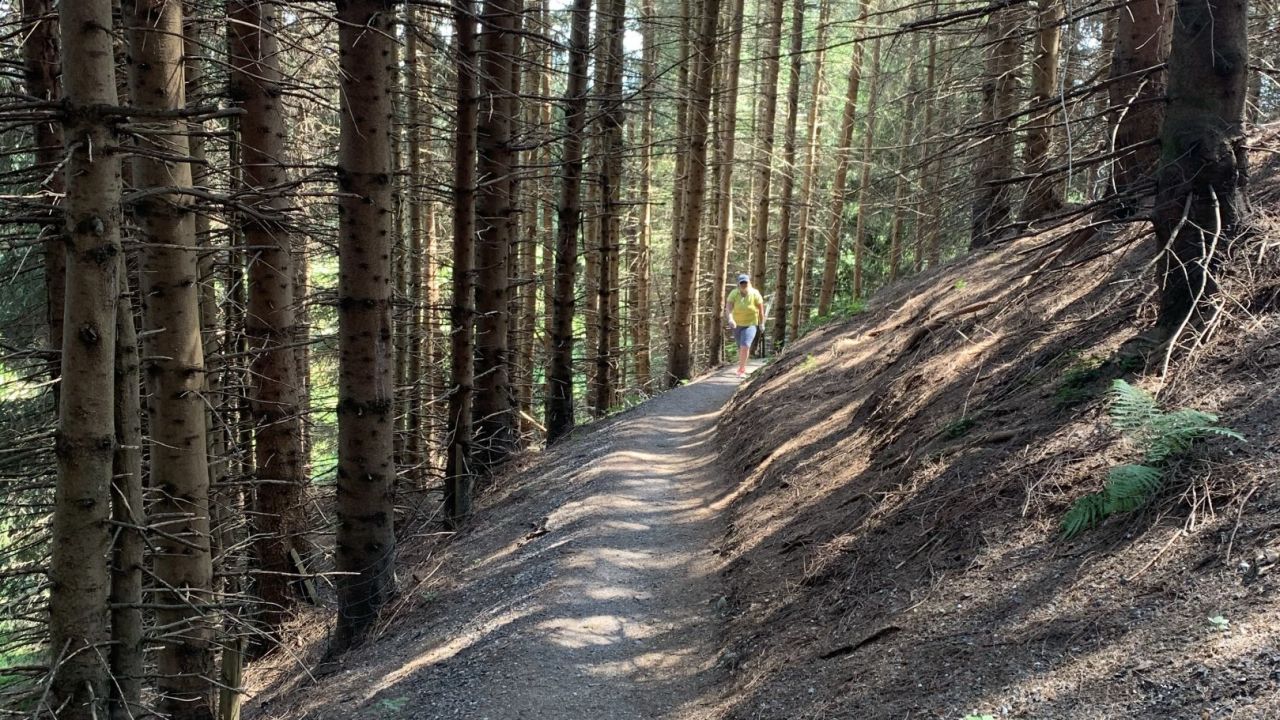 GC Waldegg-Wiggensbach e.V.