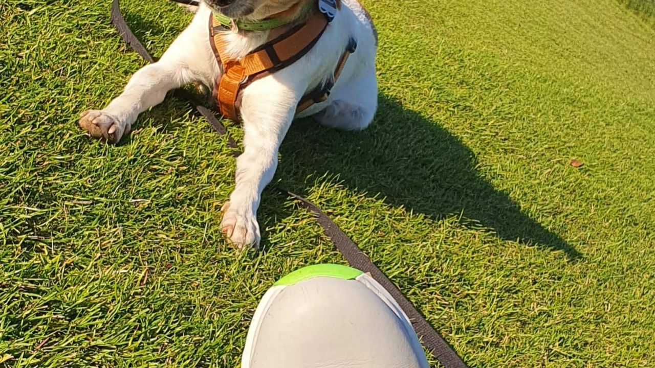 Golf- & LandClub Gut Uhlenhorst