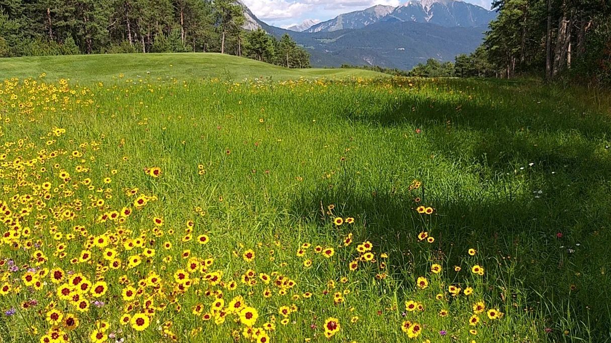 Golfpark Mieminger Plateau