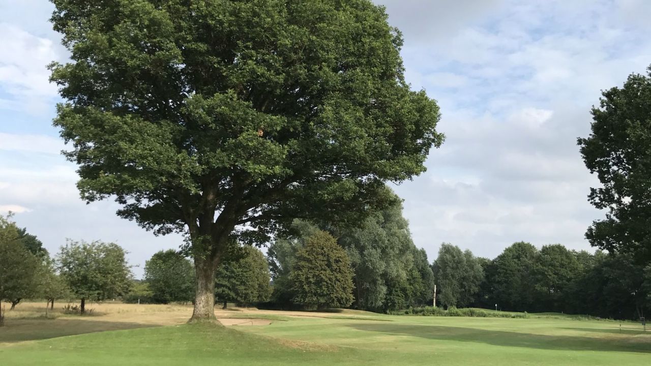 Mittelholsteinischer GC Aukrug