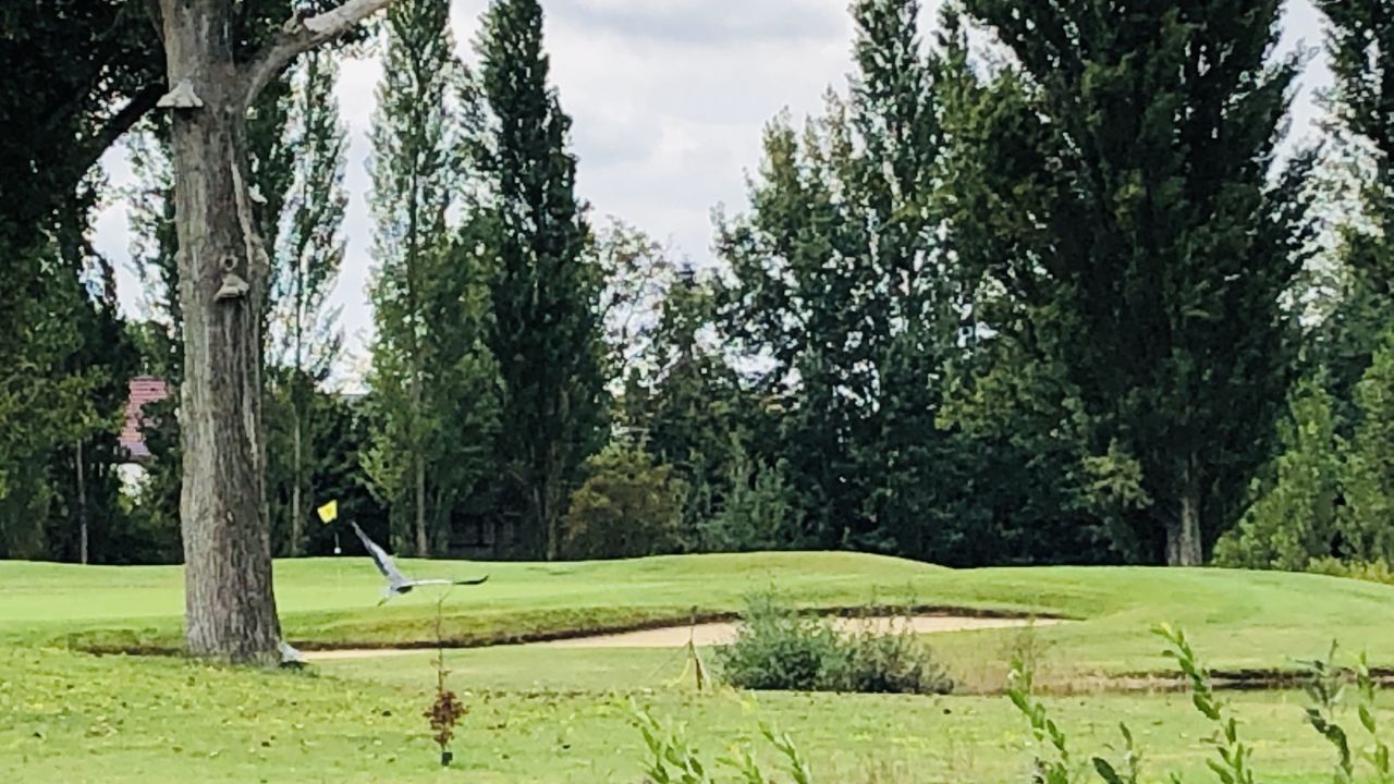 Golfpark Dessau
