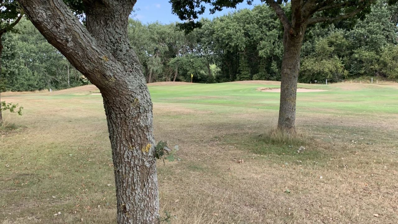Küsten GC Hohe Klint Cuxhaven