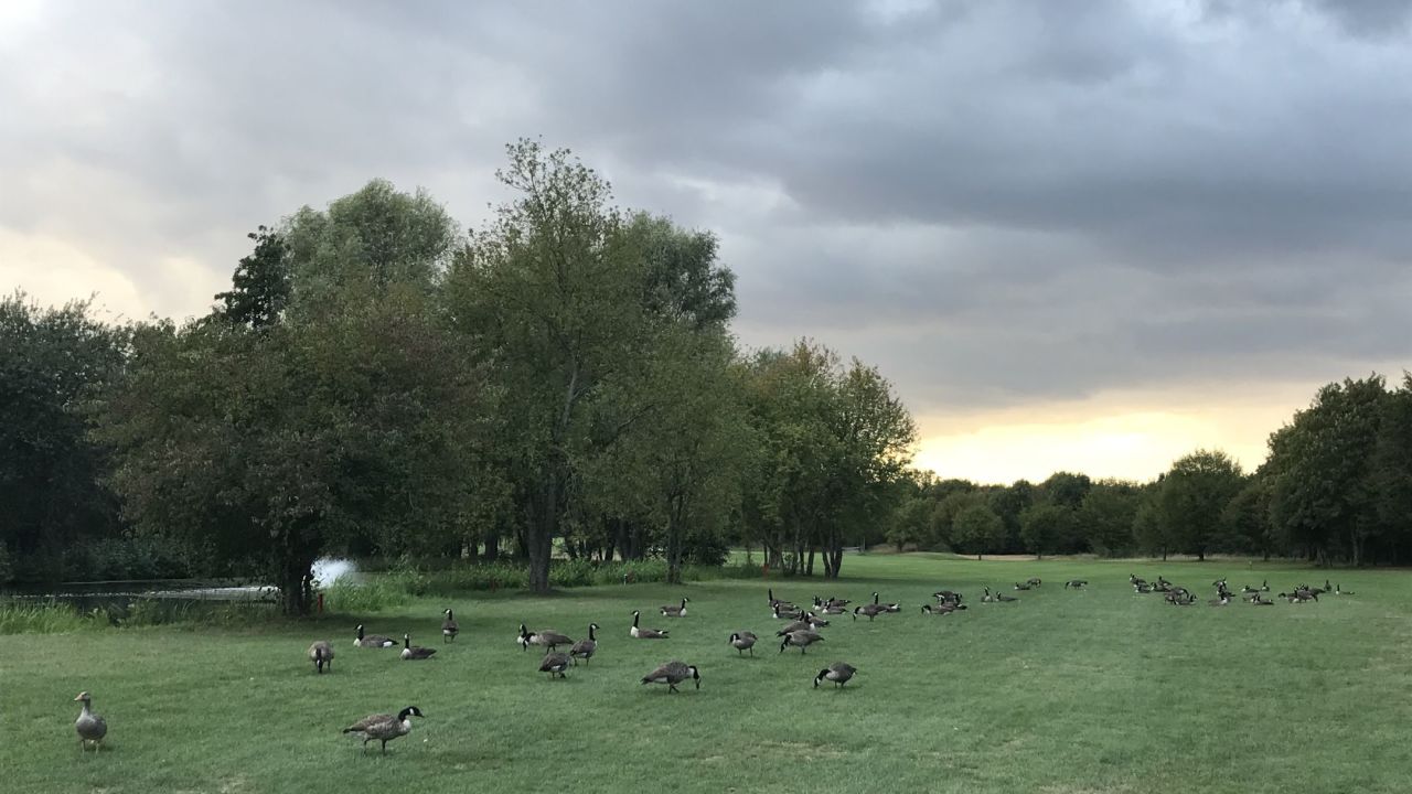 Golfanlage Hummelbachaue