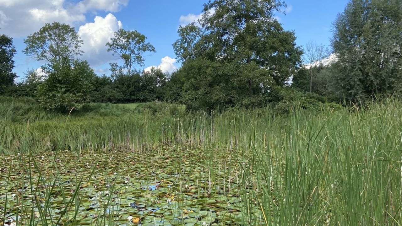 Lübeck-Travemünder Golf Klub