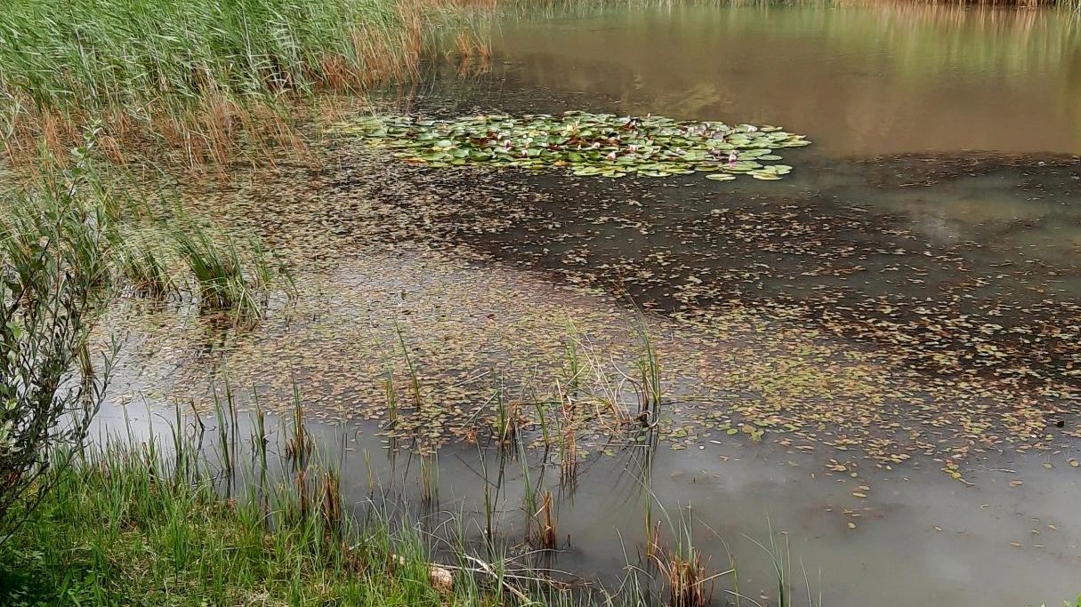 Golfclub Zugspitze-Tirol Ehrwald-Lermoos