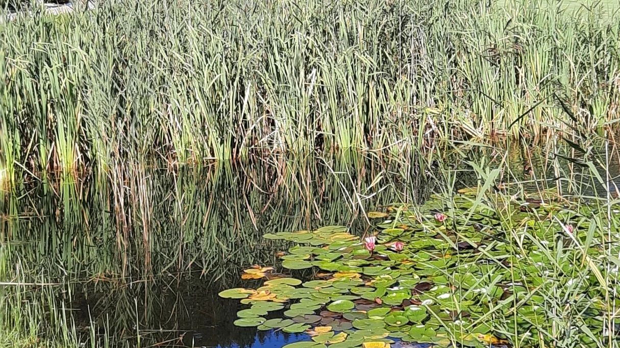 Golfclub Zugspitze-Tirol Ehrwald-Lermoos