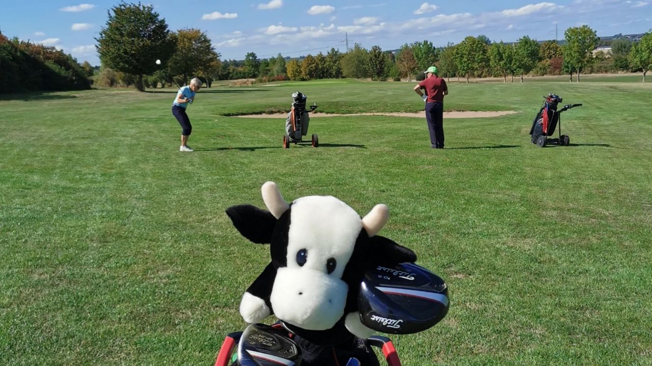 Golfanlage Domtal Mommenheim