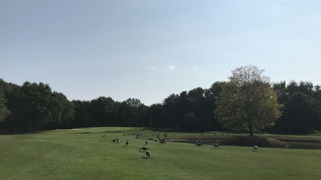 Golfanlage Hummelbachaue