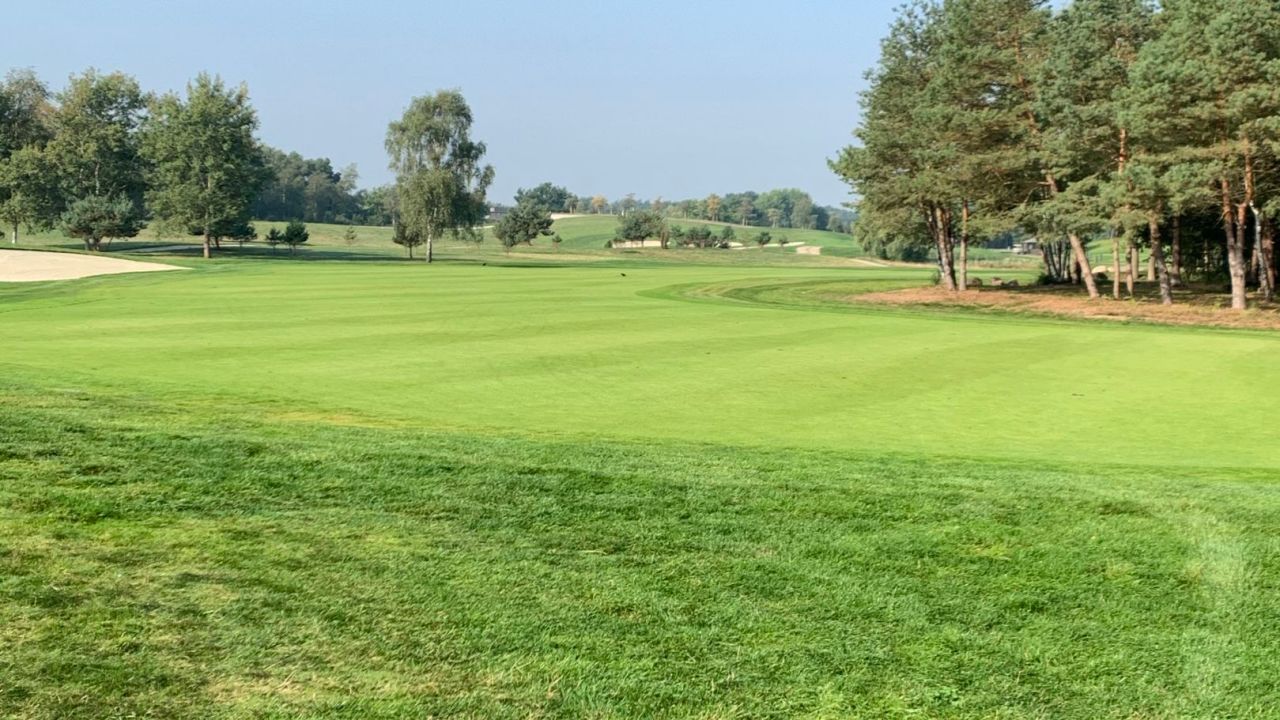 Green Eagle Golf Courses