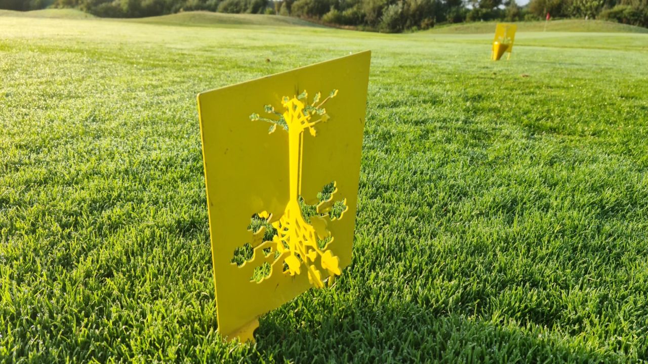 GC Gut Hahues zu Telgte