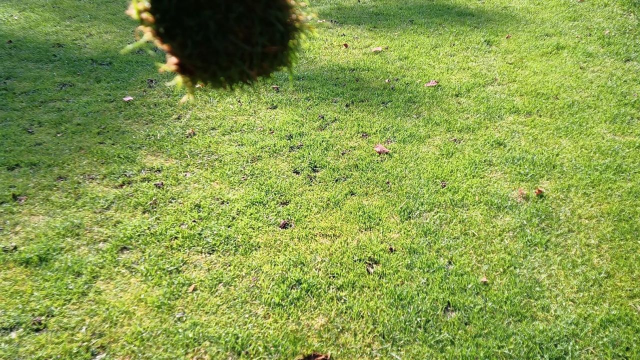 Golf Club Schinznach Bad