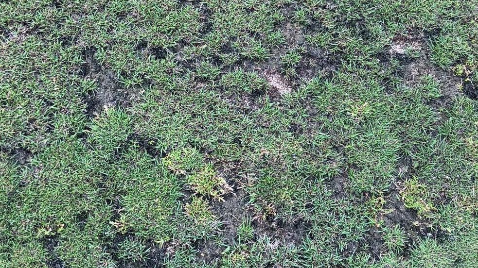 Golfpark Schlossgut Sickendorf, Golfclub Lauterbach