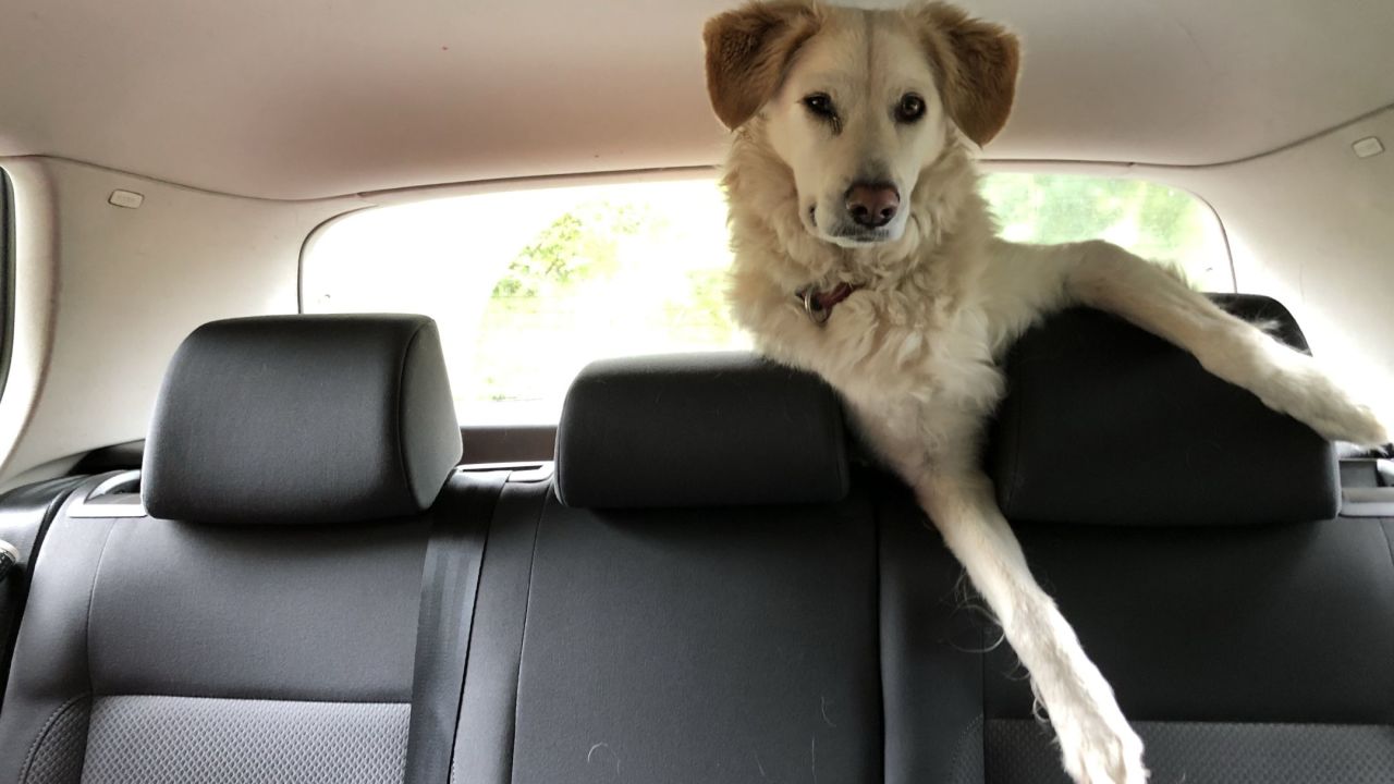 Golf Bad Münstereifel