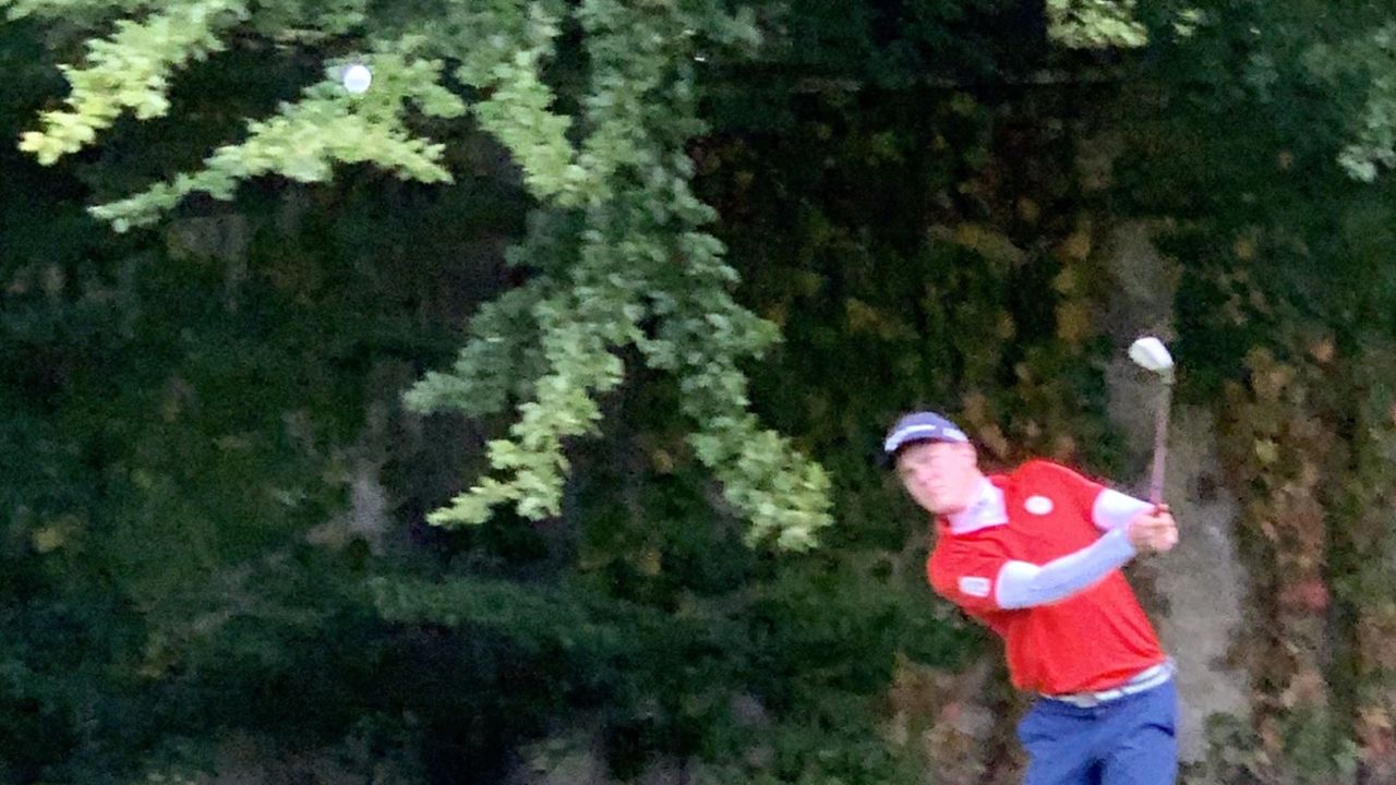 Hamburger LGC Hittfeld