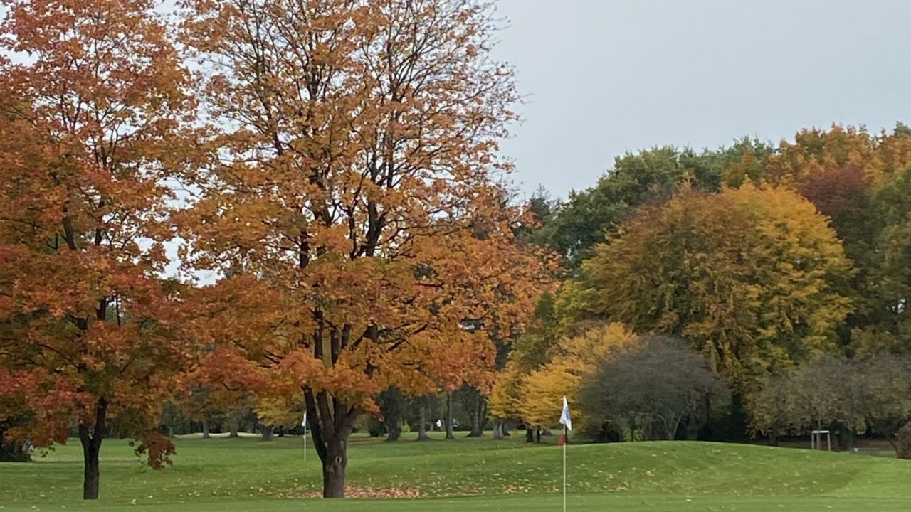 GC Hamburg Ahrensburg