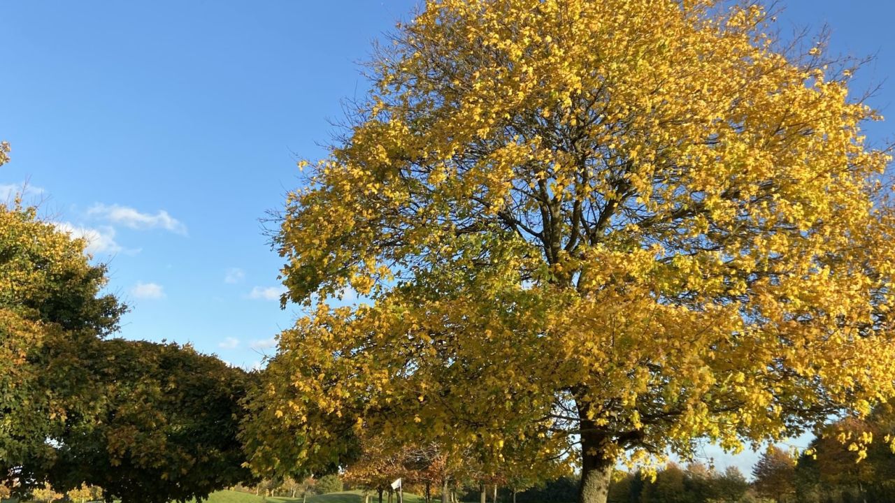 Golf- & LandClub Gut Uhlenhorst