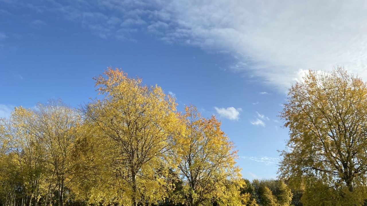 Golf- & LandClub Gut Uhlenhorst