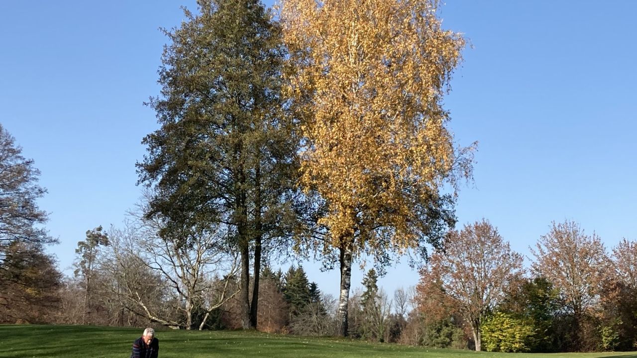 GC Lindau-Bad Schachen