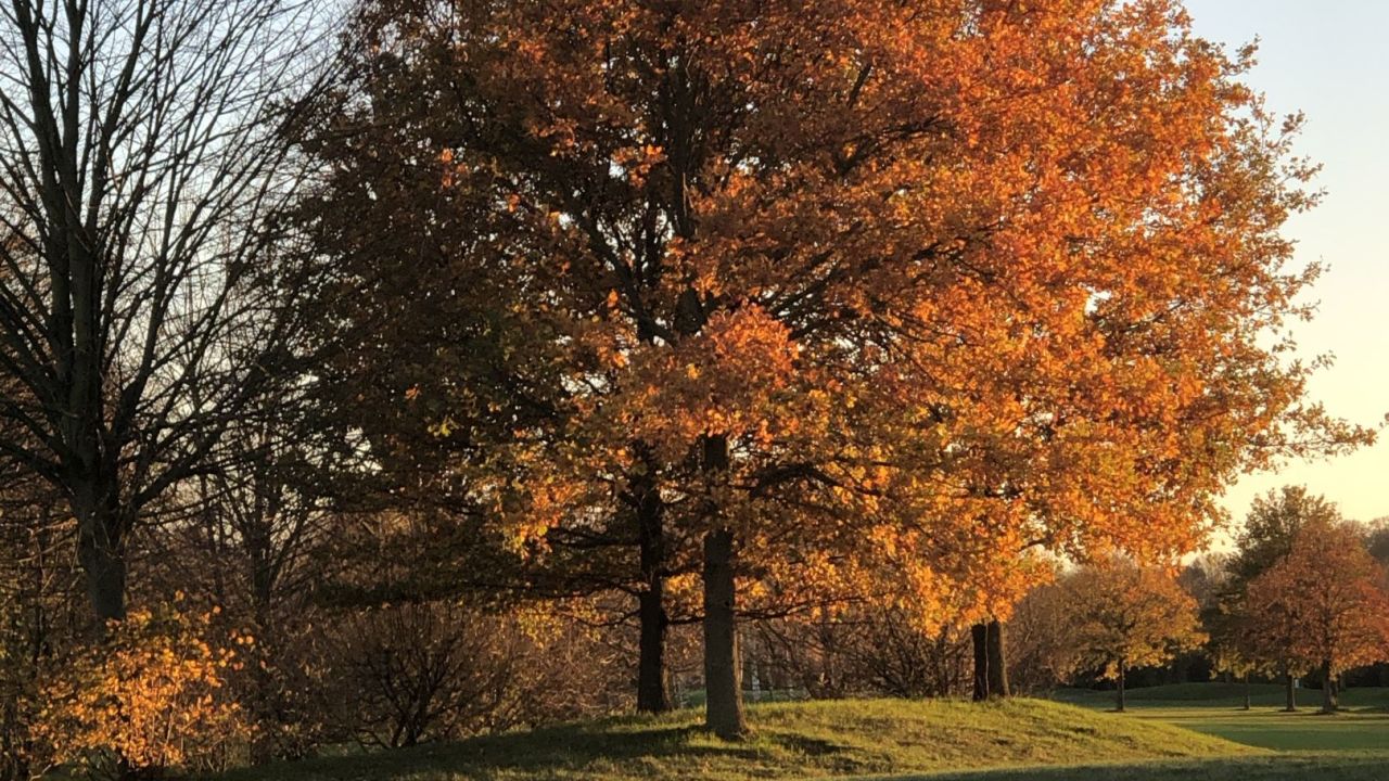 Golf & Country Club Velderhof