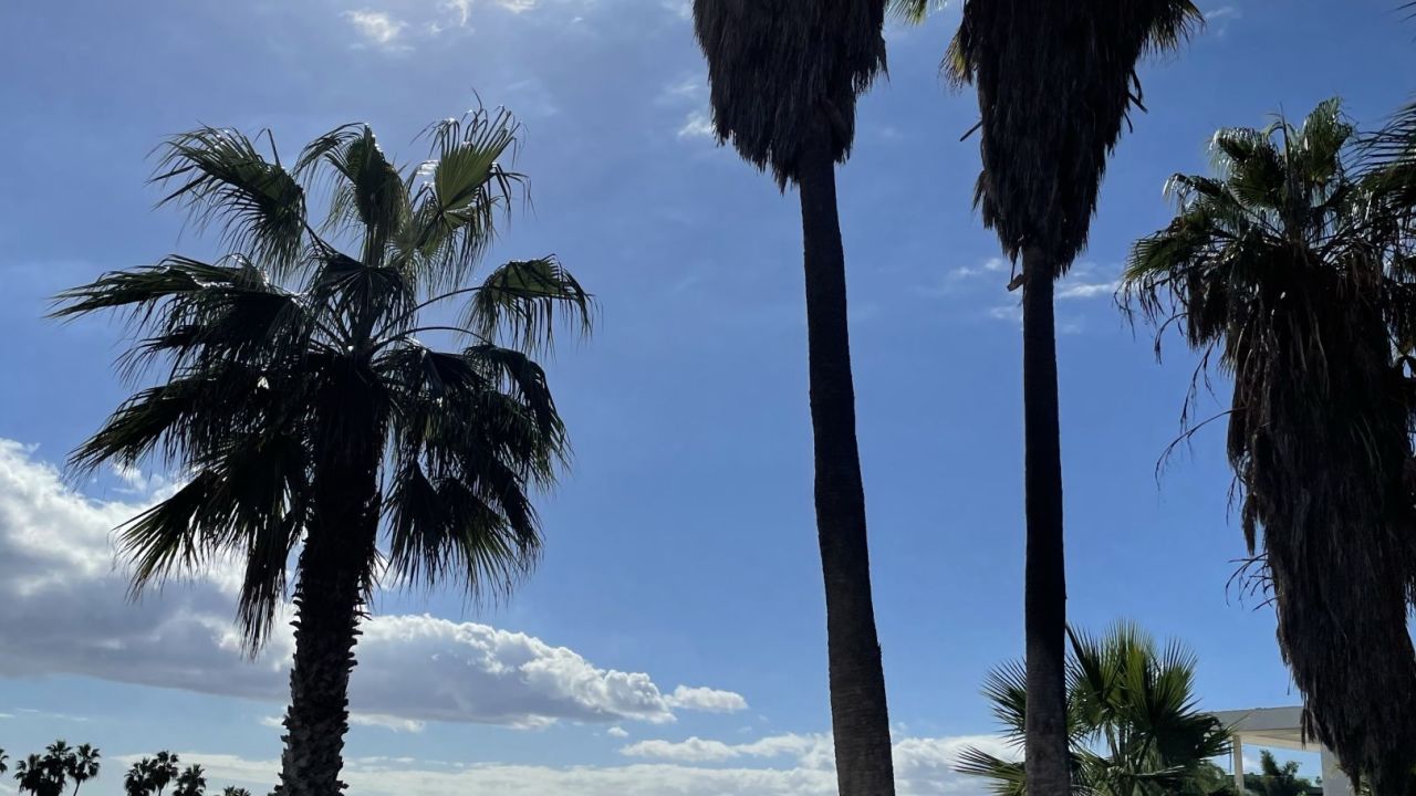 Der Abama-Golfplatz erhebt sic...