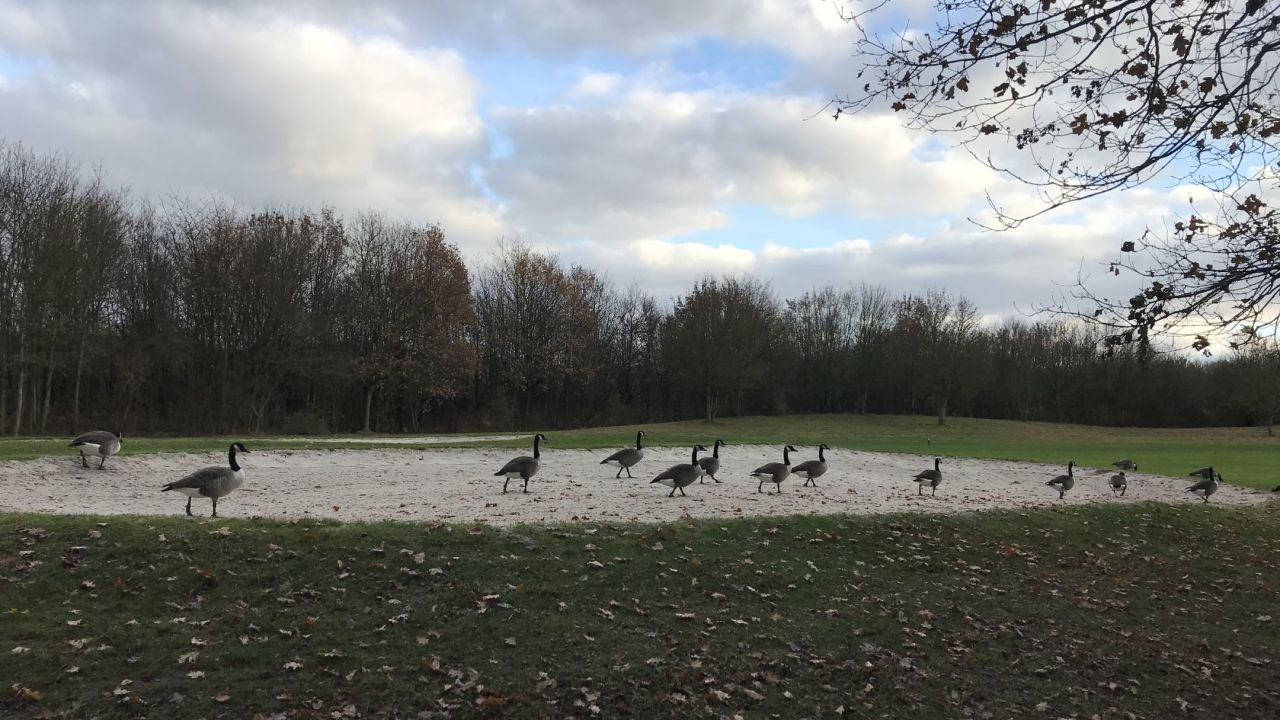 Golfanlage Hummelbachaue