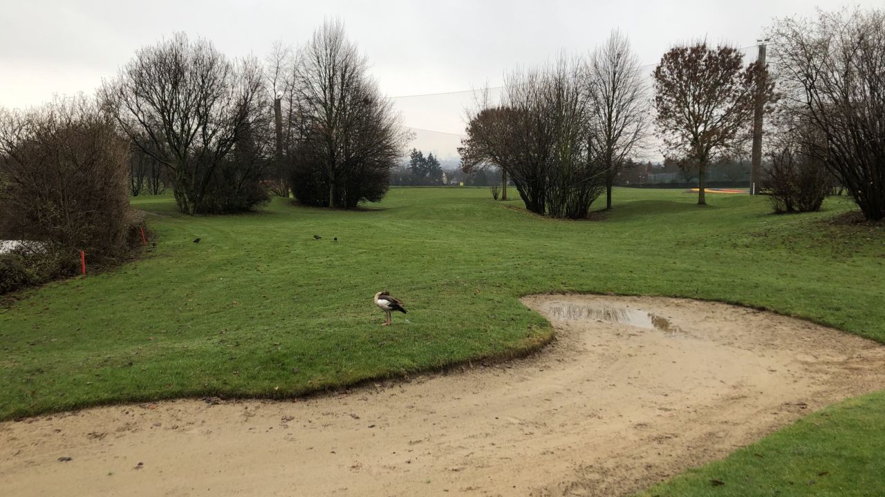 Golf Range Frankfurt
