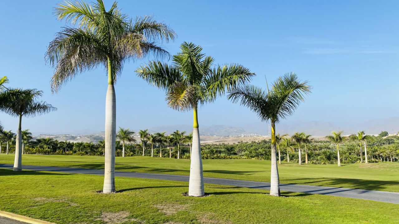 Lopesan Meloneras Golf