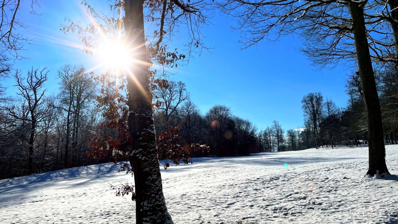 Golf Château de Preisch